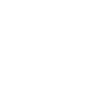 Intercambio Visual de México